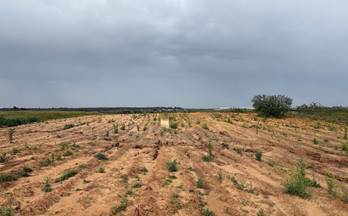 132 terrenos y fincas en venta villalba del alcor