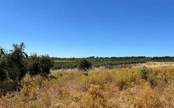 venta terrenos solares bollullos par del condado andalucia