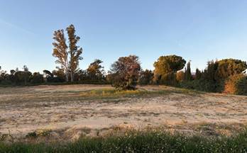 venta finca rustica bollullos par del condado andalucia