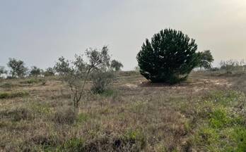 220 terrenos y fincas en venta huelva provincia