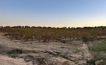 venta finca rustica bollullos par del condado andalucia