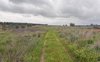 153 terrenos y fincas en venta niebla