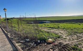 2 terrenos y fincas en venta escacena del campo