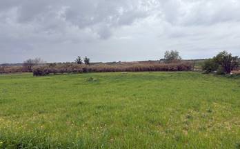 132 terrenos y fincas en venta villalba del alcor