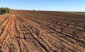 venta finca rustica almonte bollullos par del condado