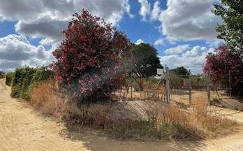venta terrenos solares bollullos par del condado andalucia