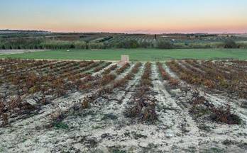 venta finca rustica bollullos par del condado andalucia