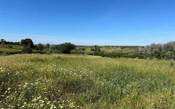 158 terrenos y fincas en venta almonte