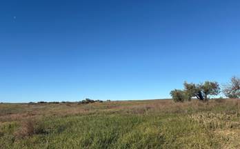 230 terrenos y fincas en venta huelva provincia