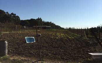 205 terrenos y fincas en venta bollullos par del condado