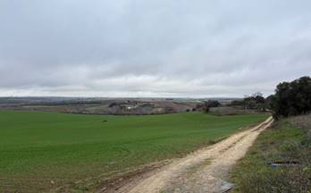 venta finca rustica bollullos par del condado andalucia