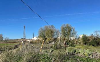 venta terrenos solares la palma del condado andalucia