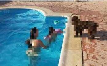 venta finca rustica bollullos par del condado bollullos par del condado