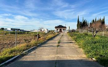 venta finca rustica resto provincia manzanilla