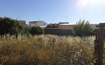 2 terrenos y fincas en venta pilas