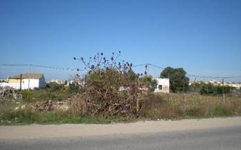 12 terrenos y fincas en venta chipiona