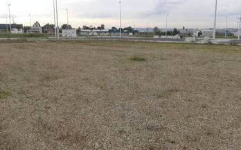 1 terrenos y fincas en venta almodovar del rio