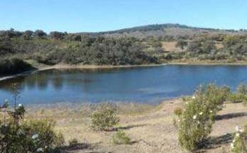 venta finca rustica alcaracejos alcaracejos