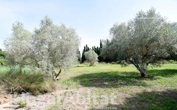 venta chalet nules camí cabeçol