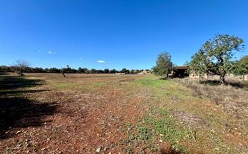 venta terrenos solares campos campos