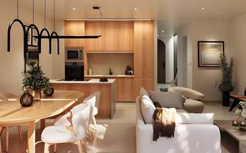 27 casas en venta ses salines