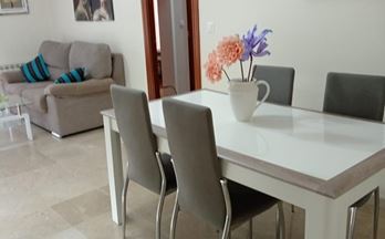 1  pisos y apartamentos en alquiler amueblados ogijares