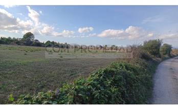 venta finca rustica manacor 