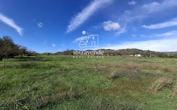 23 terrenos y fincas en venta sant mateu d´albarca