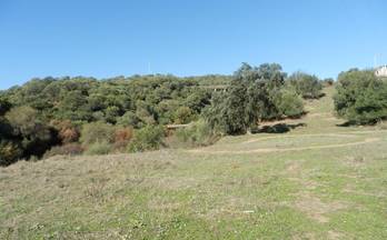 venta terrenos solares cordoba calle mirabueno