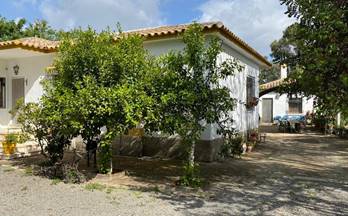 158 casas en venta zuheros