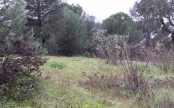 27 terrenos y fincas en venta cordoba