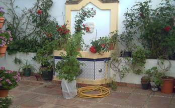 venta chalet adosado cordoba casco antiguo