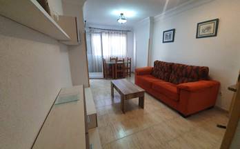 alquiler estudio benidorm benidorm