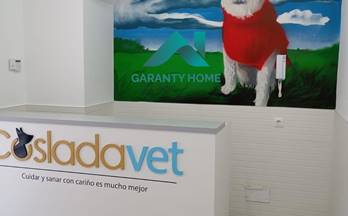 6 alquiler locales este madrid