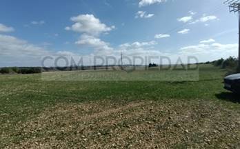 venta finca rustica petra 