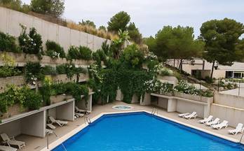 15 pisos en alquiler sant vicent del raspeig