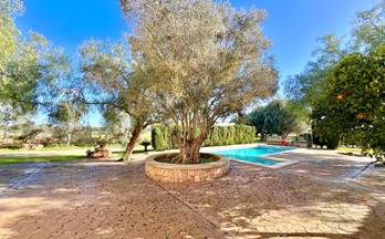 2 terrenos y fincas en alquiler campos