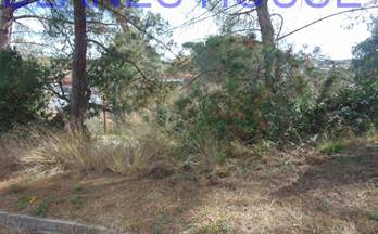 55 terrenos y fincas en venta lloret de mar