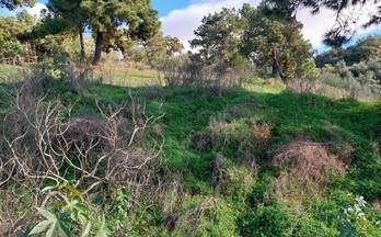 venta terrenos solares estepona a-7  este