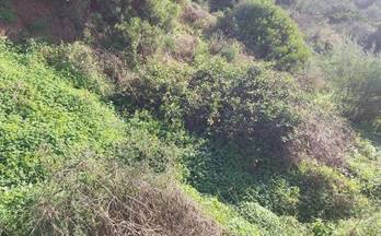 venta terrenos solares estepona centro