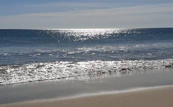 alquiler piso el campello playa muchavista