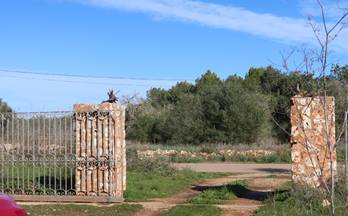 28 terrenos y fincas en venta llucmajor