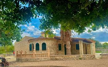 105 terrenos y fincas en venta maria de la salut