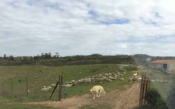 217 terrenos y fincas en venta huelva provincia