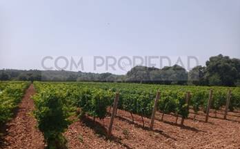 venta finca rustica costitx 