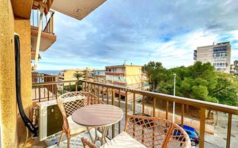 venta piso arenales del sol calle marbella