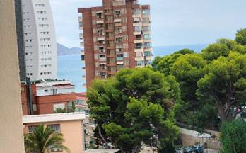 10 apartamentos en alquiler benidorm