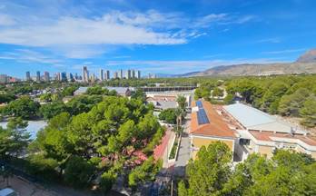 809 pisos en venta el albir