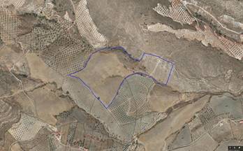 12 terrenos y fincas en venta peñuelas