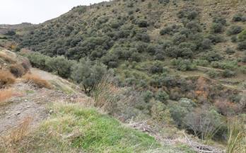 venta terrenos solares monachil andalucia